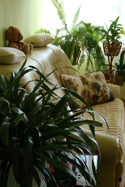 Simple Tips for Creating a Cozy and Inviting Living Space